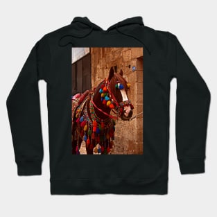 Traditional Wedding Ceremony Horse Hoodie